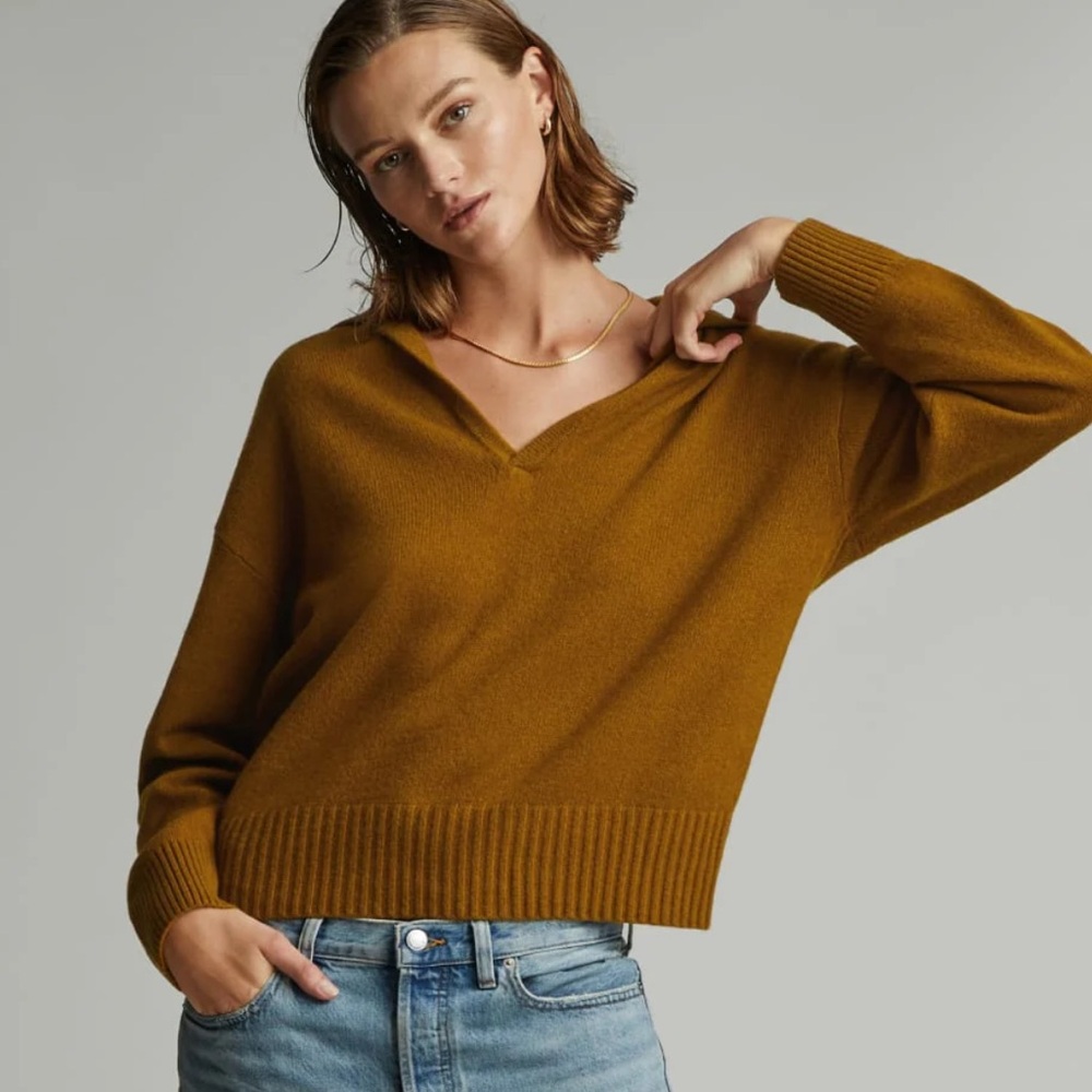 Everlane The Cashmere Polo